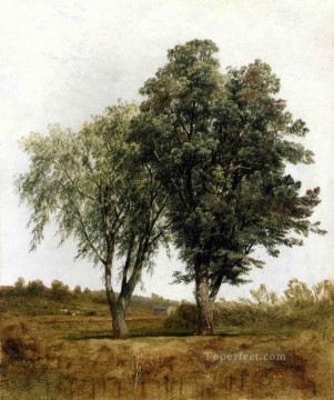  Kensett Arte - Un estudio del paisaje de los árboles John Frederick Kensett